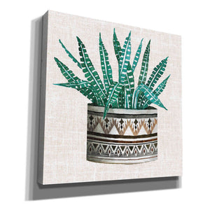 'Cactus Mud Cloth Vase III' by Cindy Jacobs, Canvas Wall Art