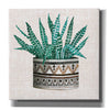 'Cactus Mud Cloth Vase III' by Cindy Jacobs, Canvas Wall Art