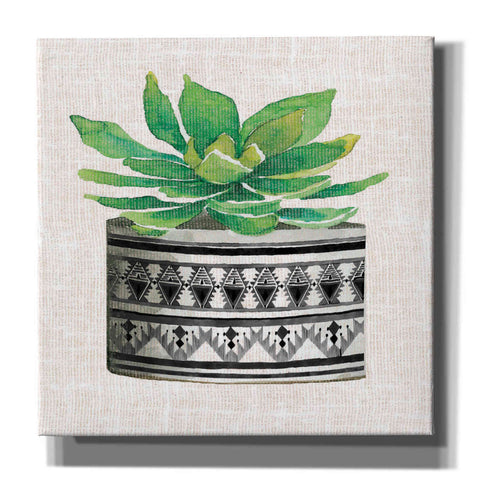 Image of 'Cactus Mud Cloth Vase IV' by Cindy Jacobs, Canvas Wall Art