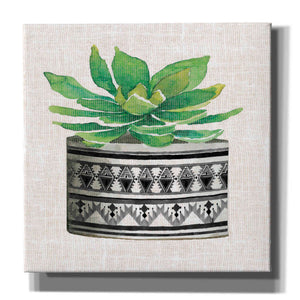 'Cactus Mud Cloth Vase IV' by Cindy Jacobs, Canvas Wall Art