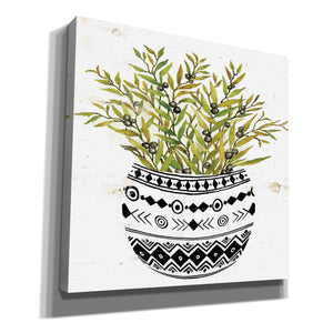 'Mud Cloth Succulent I' by Cindy Jacobs, Canvas Wall Art