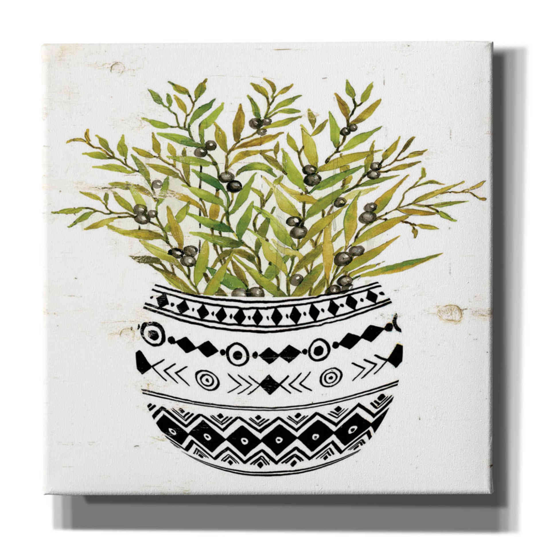 'Mud Cloth Succulent I' by Cindy Jacobs, Canvas Wall Art