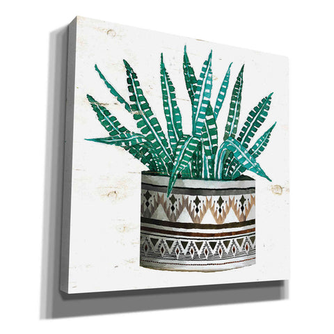 Image of 'Mud Cloth Succulent II' by Cindy Jacobs, Canvas Wall Art