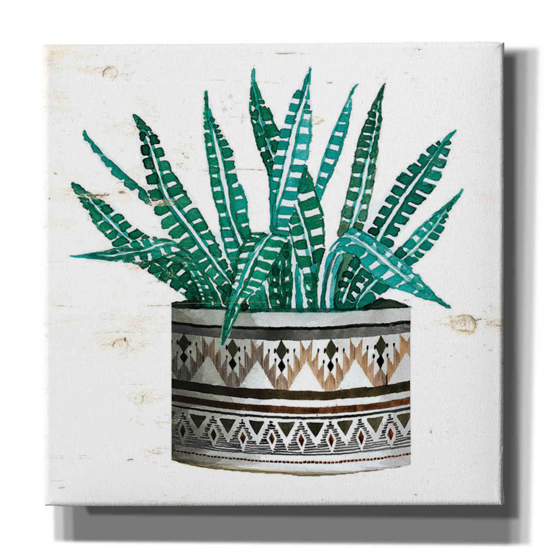 'Mud Cloth Succulent II' by Cindy Jacobs, Canvas Wall Art