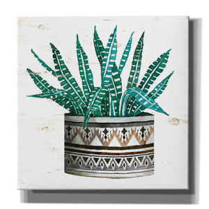 'Mud Cloth Succulent II' by Cindy Jacobs, Canvas Wall Art