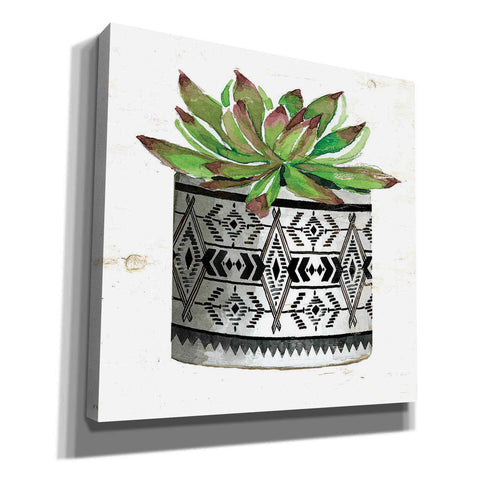 Image of 'Mud Cloth Succulent III' by Cindy Jacobs, Canvas Wall Art