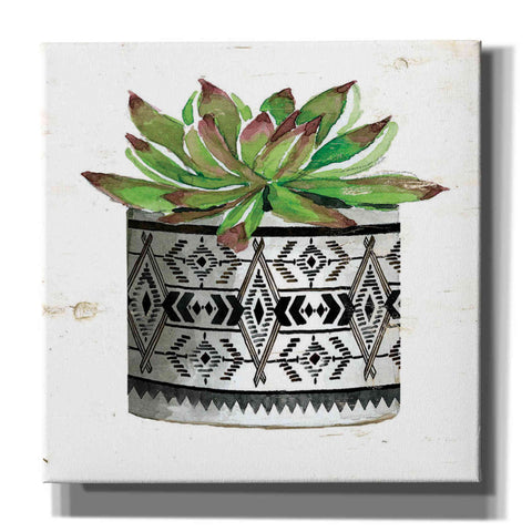 Image of 'Mud Cloth Succulent III' by Cindy Jacobs, Canvas Wall Art