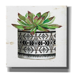 'Mud Cloth Succulent III' by Cindy Jacobs, Canvas Wall Art