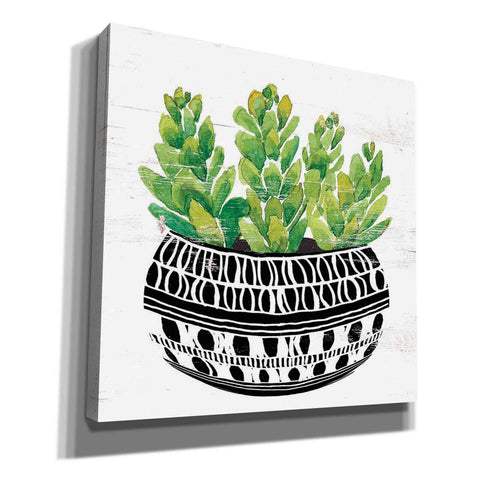 Image of 'Mud Cloth Succulent IV' by Cindy Jacobs, Canvas Wall Art