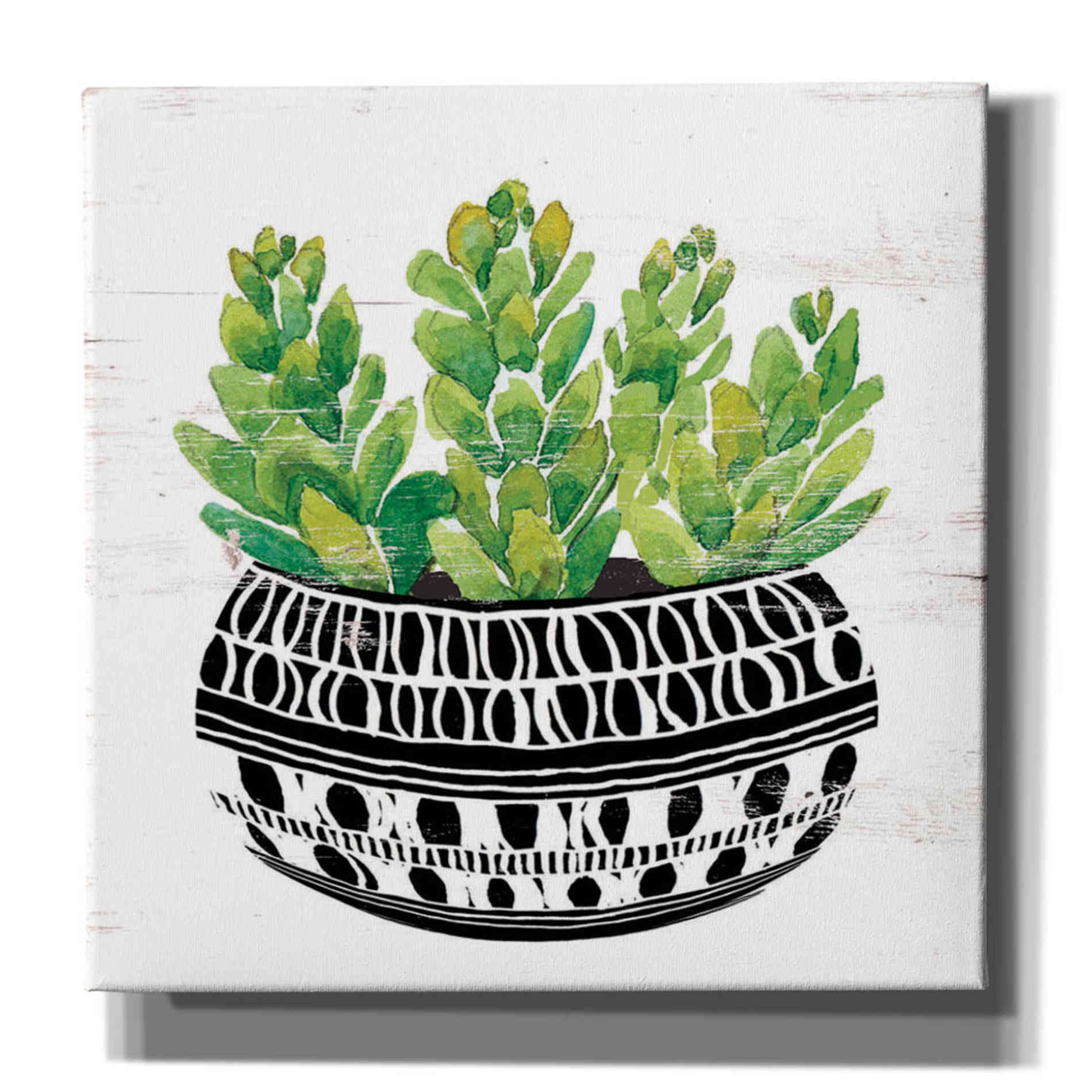 'Mud Cloth Succulent IV' by Cindy Jacobs, Canvas Wall Art