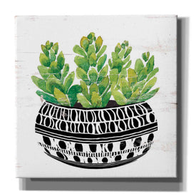 'Mud Cloth Succulent IV' by Cindy Jacobs, Canvas Wall Art