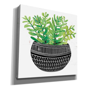 'Mud Cloth Succulent V' by Cindy Jacobs, Canvas Wall Art