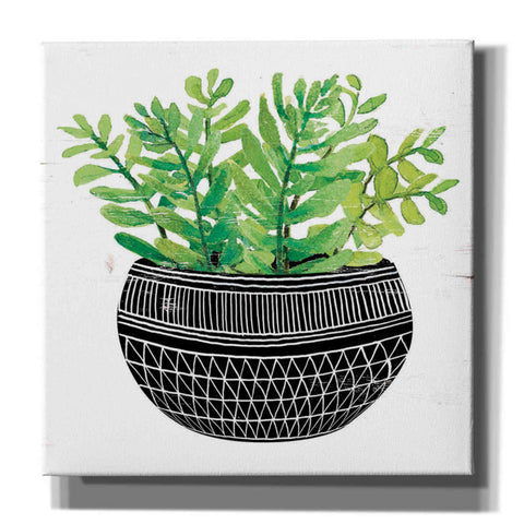 Image of 'Mud Cloth Succulent V' by Cindy Jacobs, Canvas Wall Art