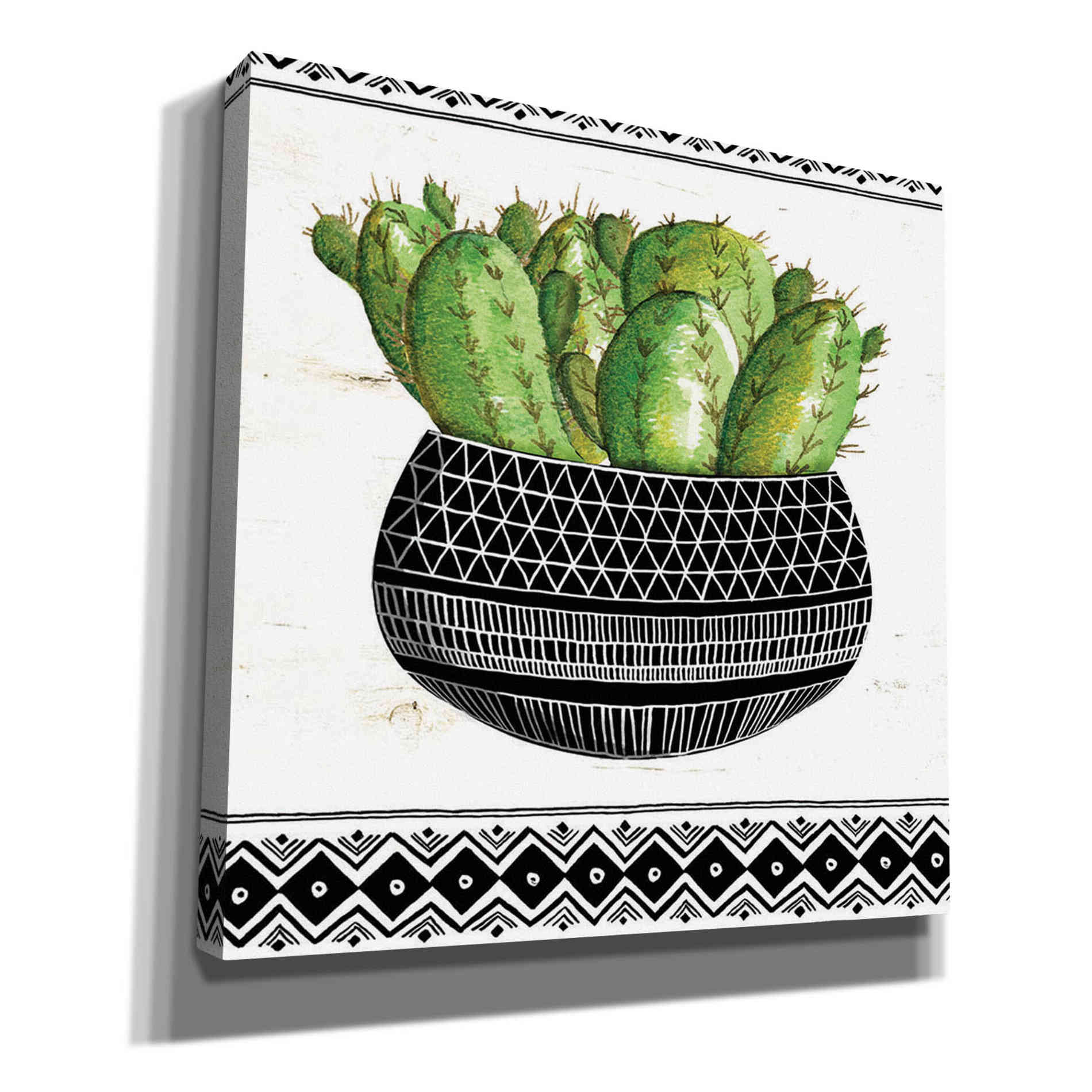 'Mud Cloth Black and White Succulent I' by Cindy Jacobs, Canvas Wall Art