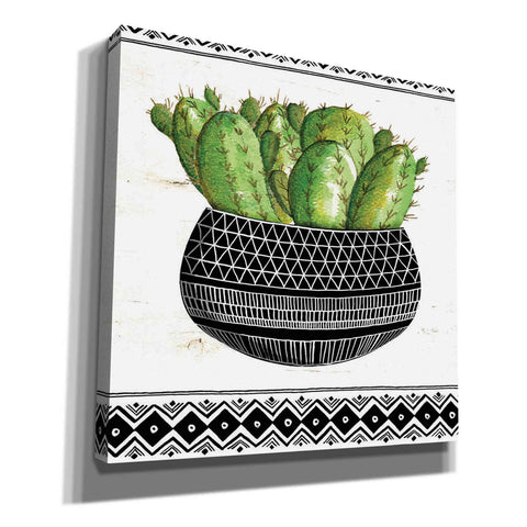 Image of 'Mud Cloth Black and White Succulent I' by Cindy Jacobs, Canvas Wall Art