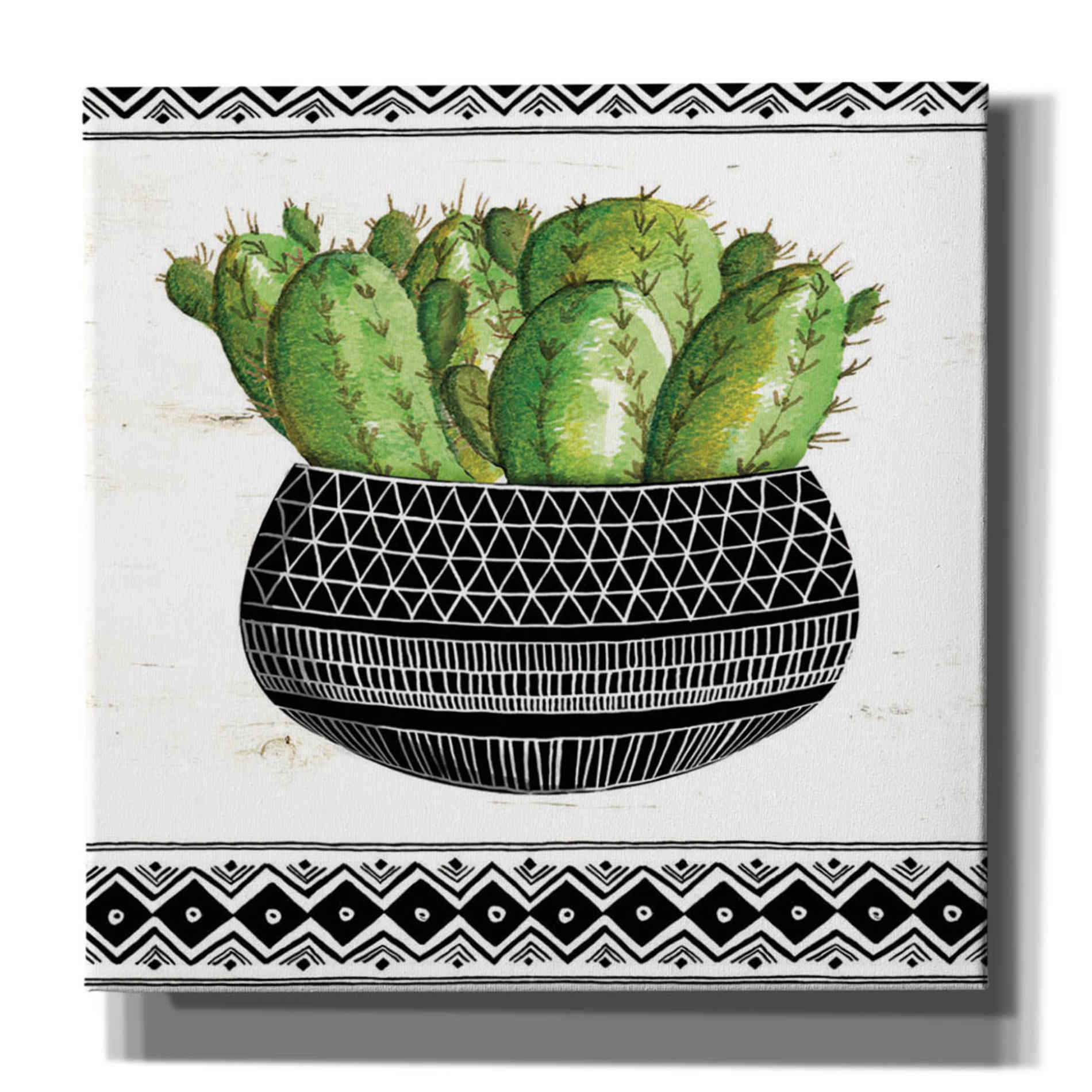 'Mud Cloth Black and White Succulent I' by Cindy Jacobs, Canvas Wall Art