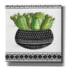 'Mud Cloth Black and White Succulent I' by Cindy Jacobs, Canvas Wall Art