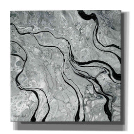 'Abstract in Gray V' by Cindy Jacobs, Canvas Wall Art