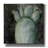 'Big Blooming Cactus I' by Cindy Jacobs, Canvas Wall Art