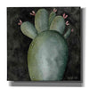 'Big Blooming Cactus II' by Cindy Jacobs, Canvas Wall Art