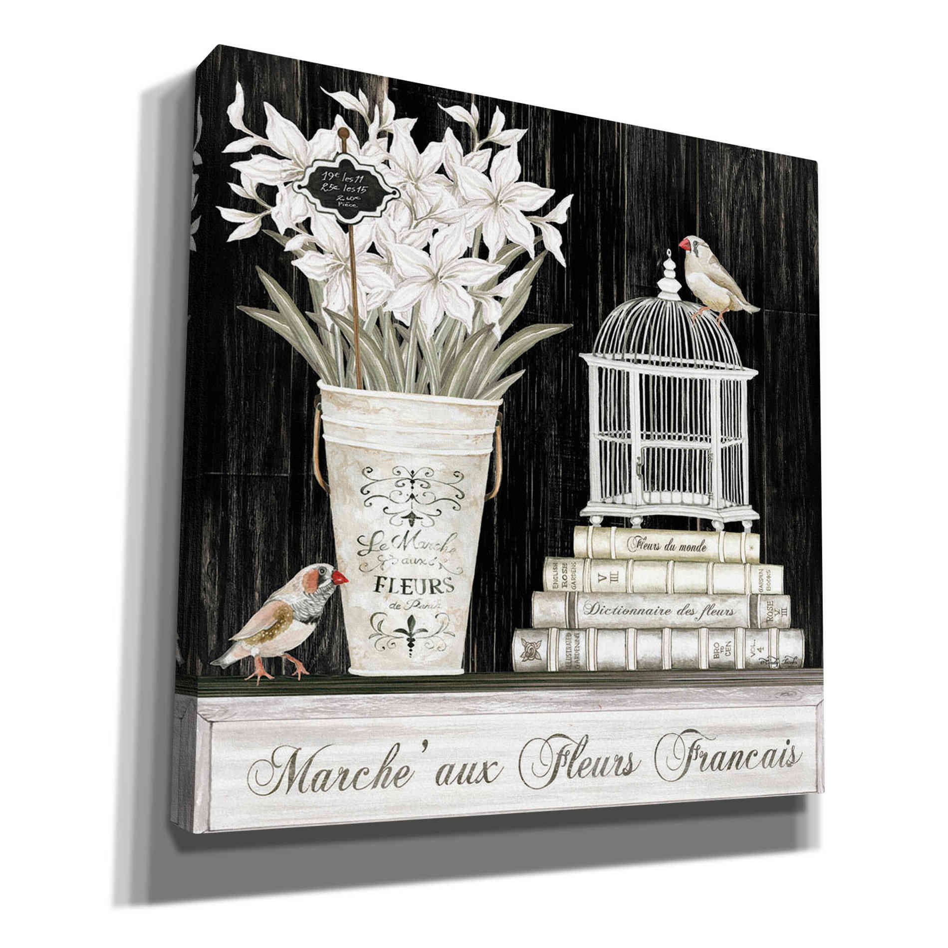 'Amaryllis Still Life' by Cindy Jacobs, Canvas Wall Art