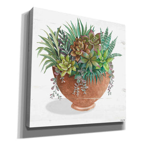 'Terracotta Succulents II' by Cindy Jacobs, Canvas Wall Art
