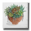 'Terracotta Succulents II' by Cindy Jacobs, Canvas Wall Art