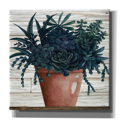 Image of 'Remarkable Succulents III' by Cindy Jacobs, Canvas Wall Art