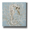 'Coral Seahorse I' by Cindy Jacobs, Canvas Wall Art