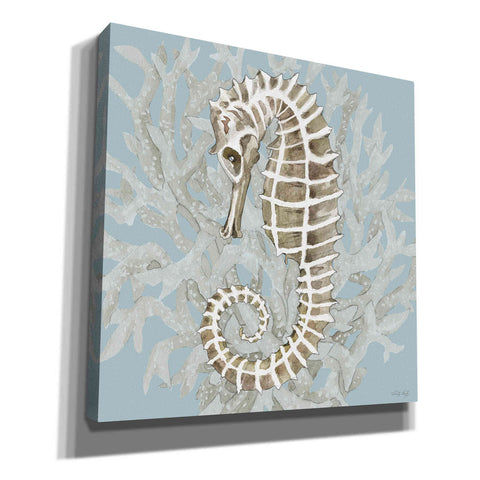 Image of 'Coral Seahorse II' by Cindy Jacobs, Canvas Wall Art