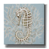 'Coral Seahorse II' by Cindy Jacobs, Canvas Wall Art