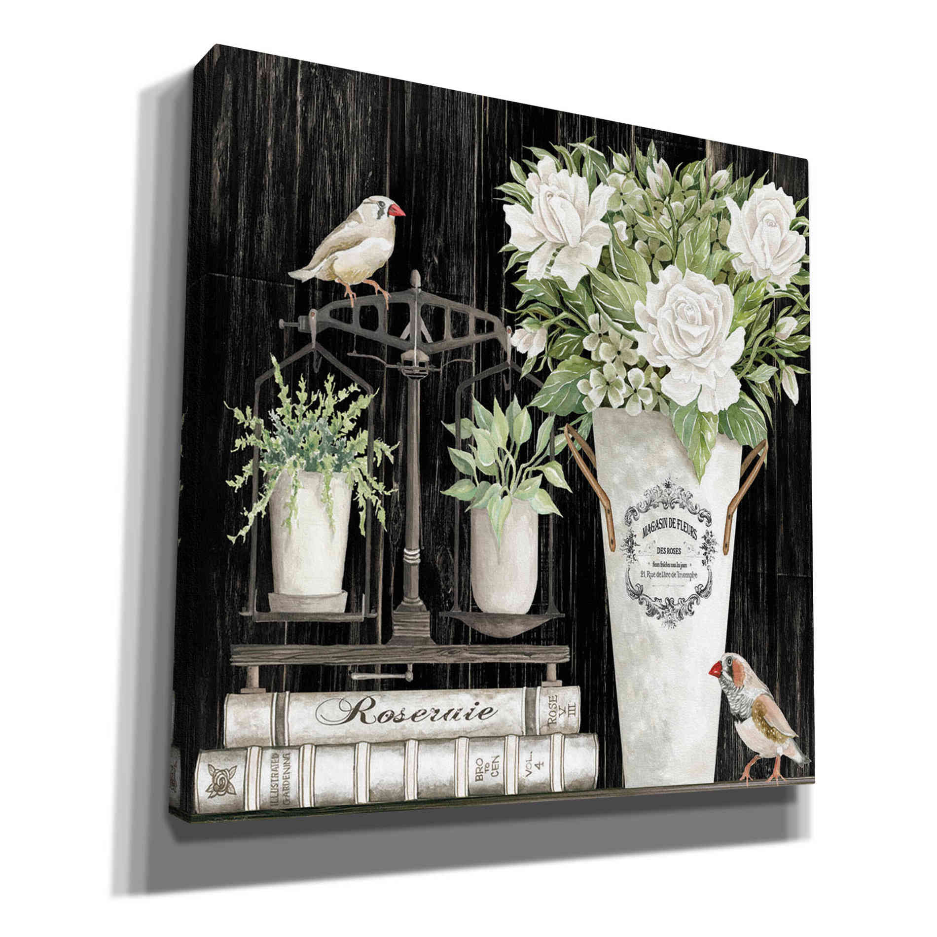 'Roses and Scales' by Cindy Jacobs, Canvas Wall Art