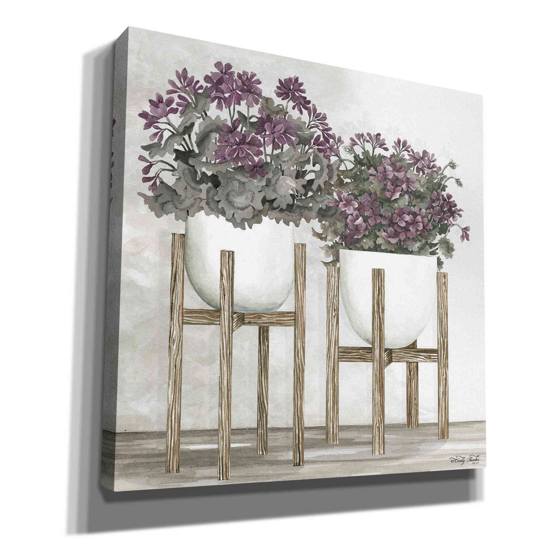 'Potted Geraniums' by Cindy Jacobs, Canvas Wall Art