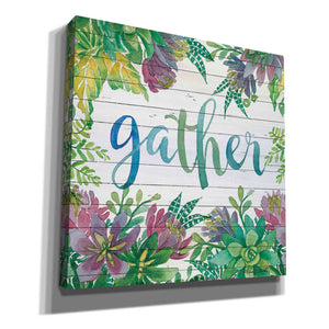'Gather Succulents' by Cindy Jacobs, Canvas Wall Art