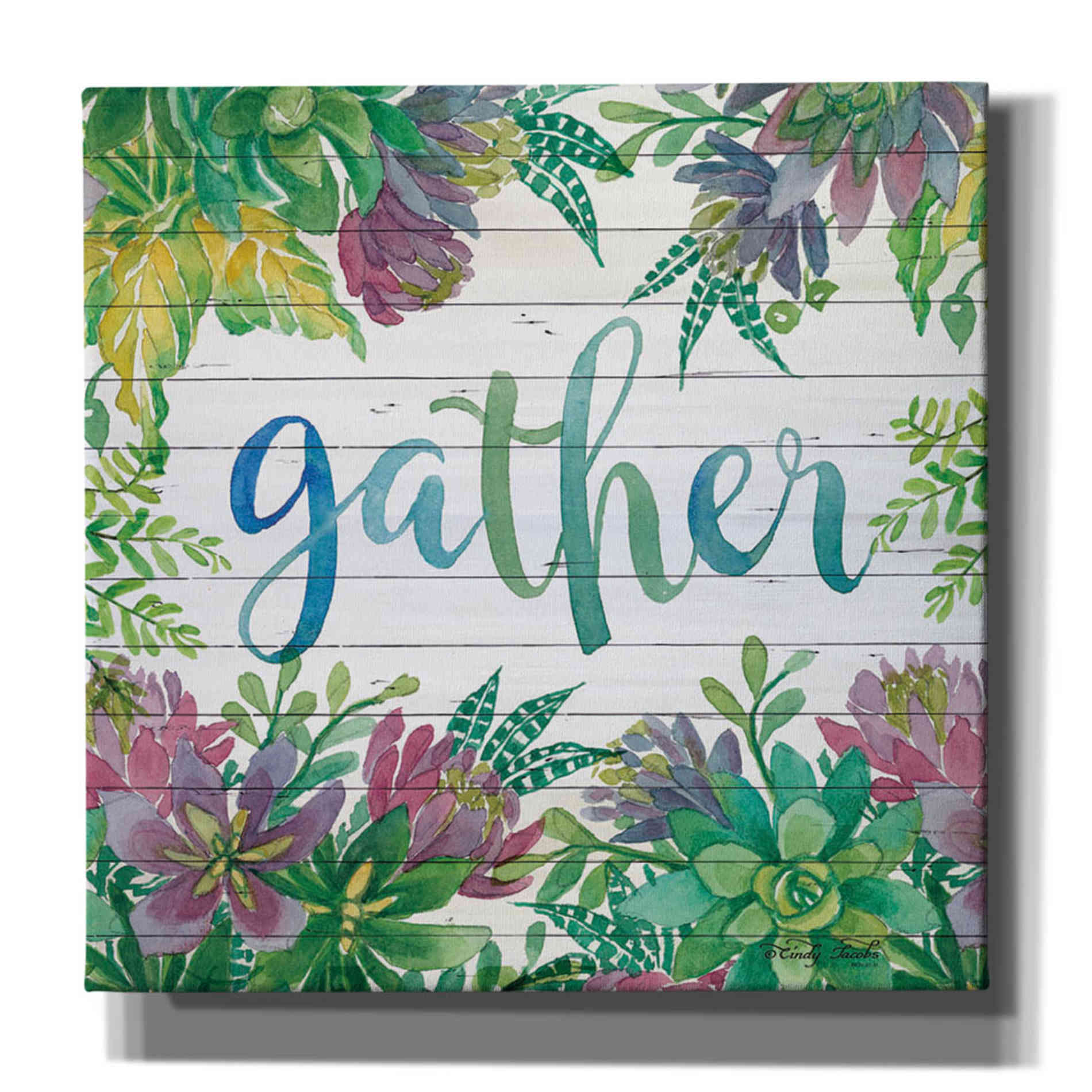 'Gather Succulents' by Cindy Jacobs, Canvas Wall Art