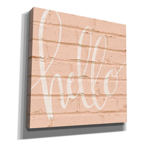 'Hello Pink' by Cindy Jacobs, Canvas Wall Art
