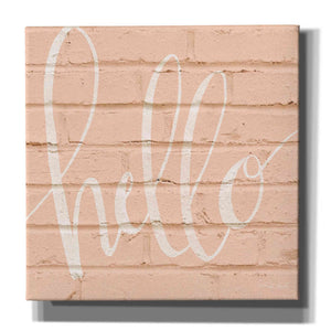'Hello Pink' by Cindy Jacobs, Canvas Wall Art