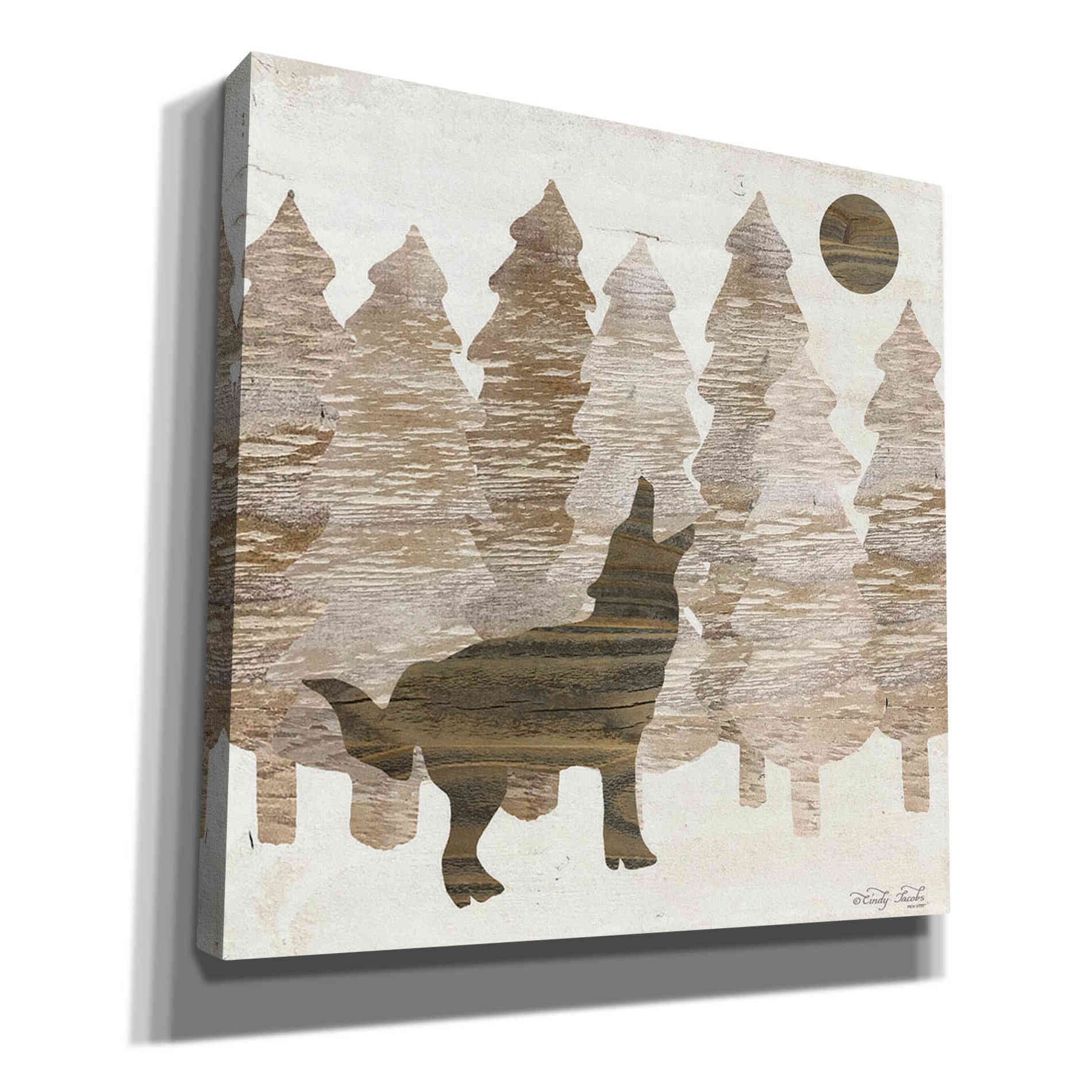 'Howl at the Moon I' by Cindy Jacobs, Canvas Wall Art