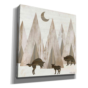 'Night Play' by Cindy Jacobs, Canvas Wall Art