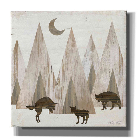 Image of 'Night Play' by Cindy Jacobs, Canvas Wall Art