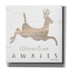 'Adventure Awaits Deer' by Cindy Jacobs, Canvas Wall Art