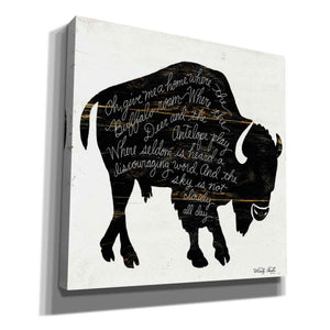 'Buffalo in Black' by Cindy Jacobs, Canvas Wall Art
