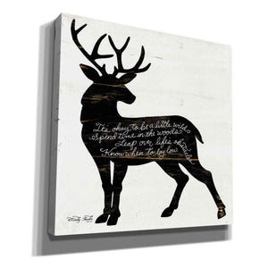'Deer in Black' by Cindy Jacobs, Canvas Wall Art