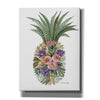 'Succulent Pineapple' by Cindy Jacobs, Canvas Wall Art