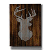 'Deer Head I' by Cindy Jacobs, Canvas Wall Art