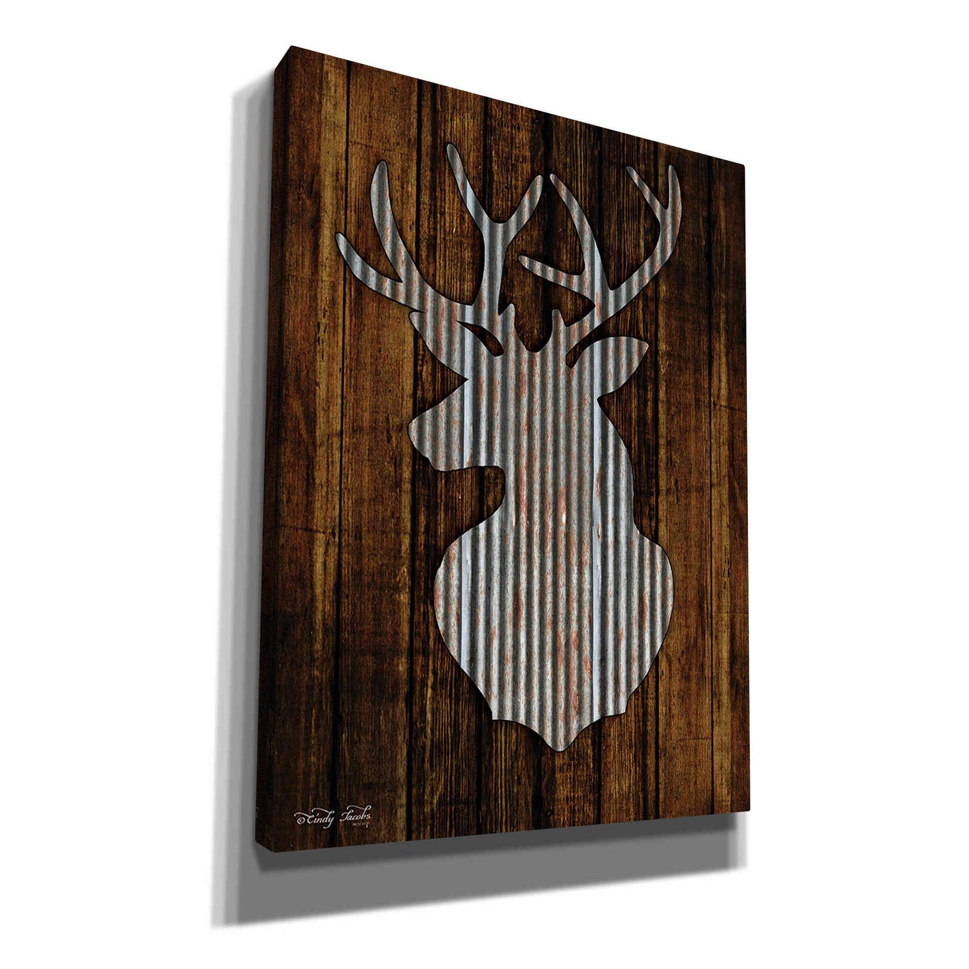 'Deer Head II' by Cindy Jacobs, Canvas Wall Art