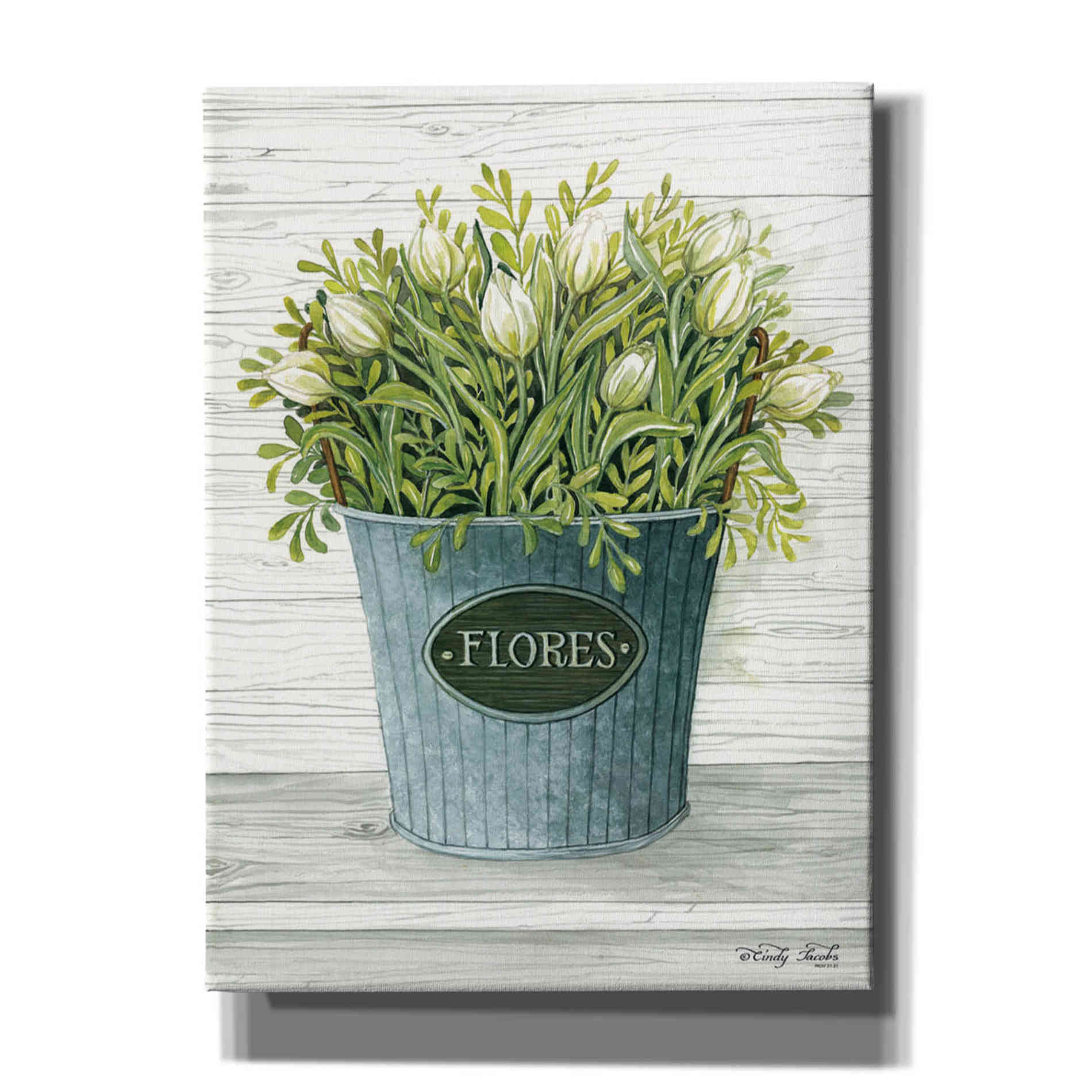 'Today's Picks' by Cindy Jacobs, Canvas Wall Art