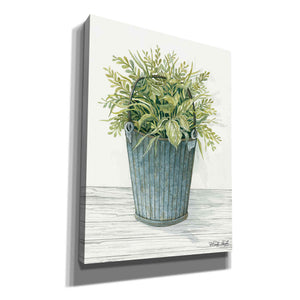 'Old Bucket of Greenery' by Cindy Jacobs, Canvas Wall Art