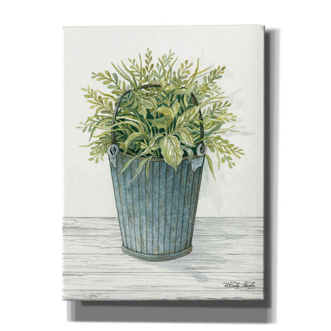 Image of 'Old Bucket of Greenery' by Cindy Jacobs, Canvas Wall Art