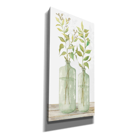 Image of 'Simple Leaves in Jar I' by Cindy Jacobs, Canvas Wall Art